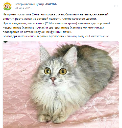 Подробная информация на сайте