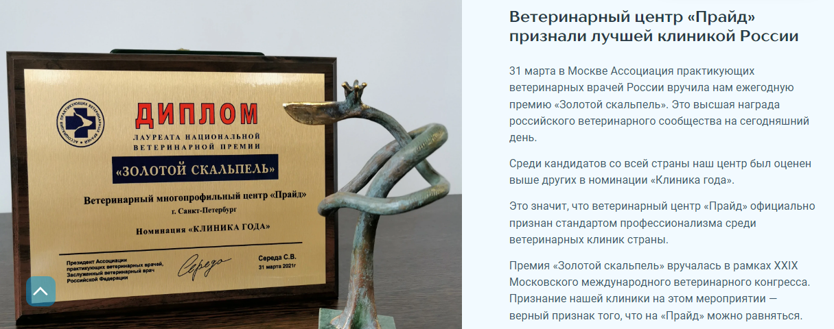 Постоянное подтверждение профессионализма